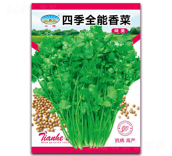 �ļ�ȫ�����-��˷N��-��ͷN�I(y��)