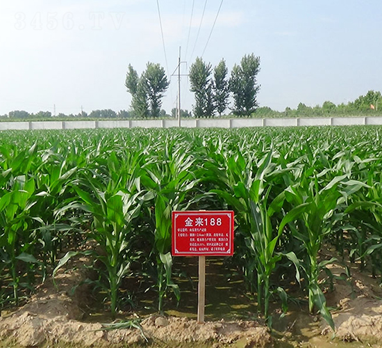 ����188-���׷N��-�����N�I(y��)