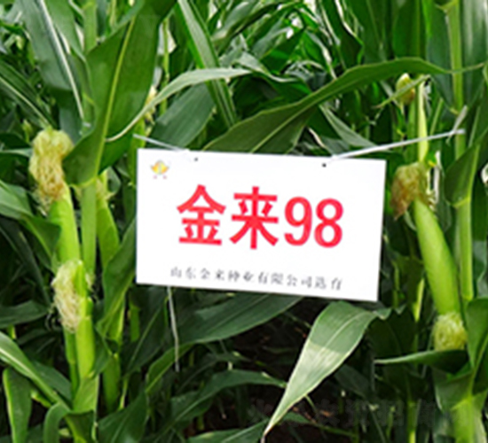 ����98-���׷N��-�����N�I(y��)