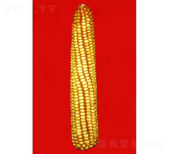 ���306-���׷N��-���N�I(y��)