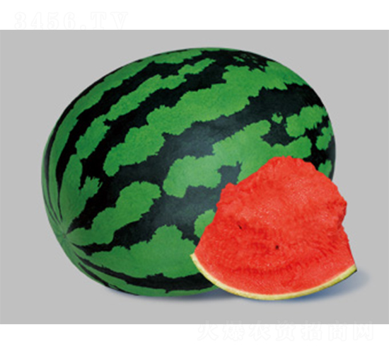 ʢ������-���ϷN��-����N�I(y��)