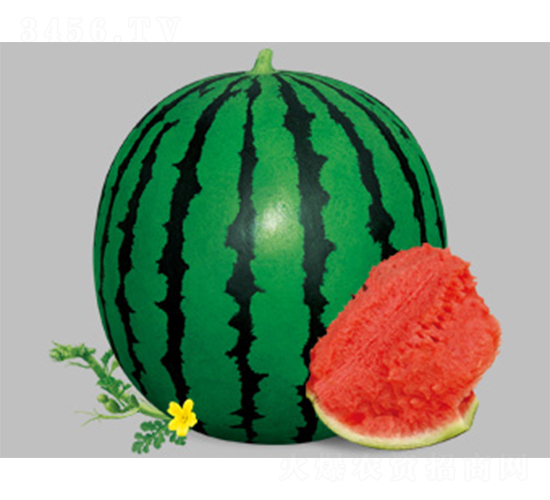 �挚�����-���ϷN��-����N�I(y��)