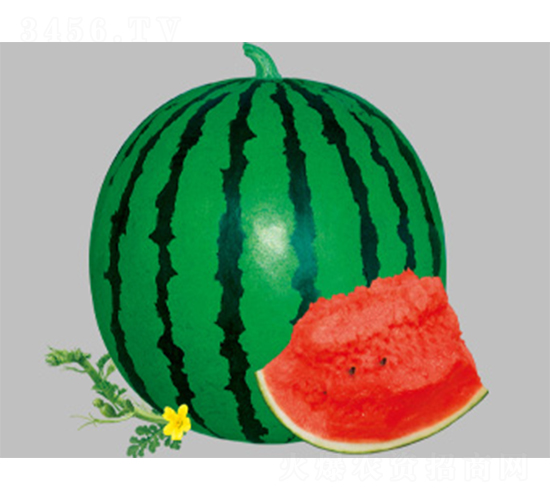 ���t-7-���ϷN��-����N�I(y��)