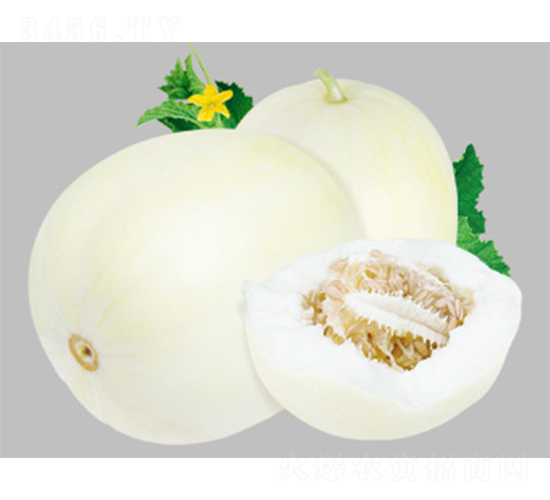 ������-��ϷN��-����N�I(y��)