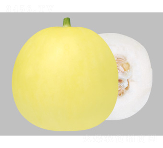 ����20-��ϷN��-����N�I(y��)