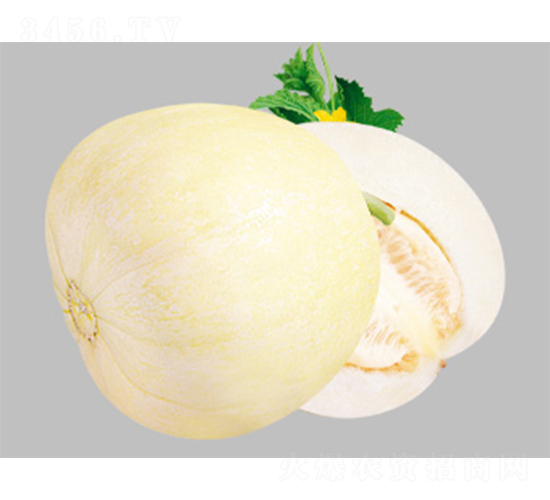 ������̖(h��o)-��ϷN��-����N�I(y��)