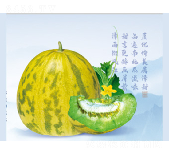 �����A��-��ϷN��-����N�I(y��)