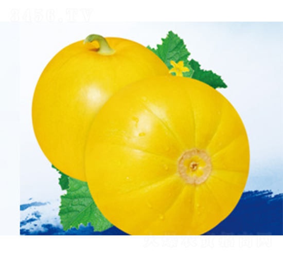 �S������̖-��ϷN��-����N�I(y��)