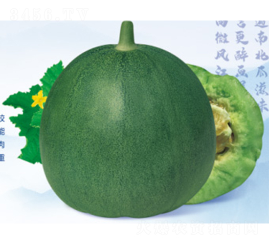 ���Ǵ���-��ϷN��-����N�I(y��)