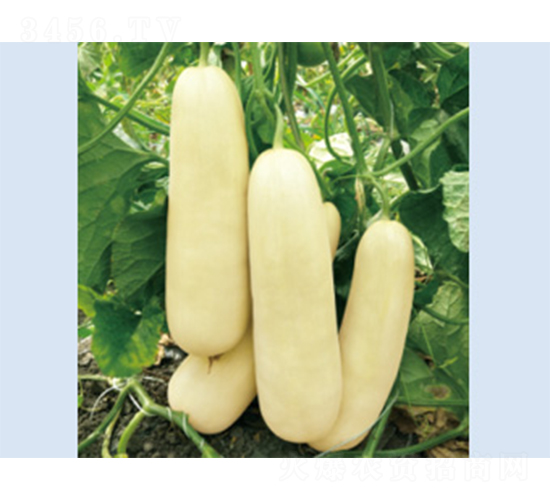 �����10-��ϷN��-����N�I(y��)