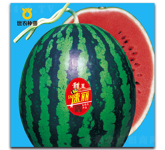 SN����-���ϷN��-���r(n��ng)�N��