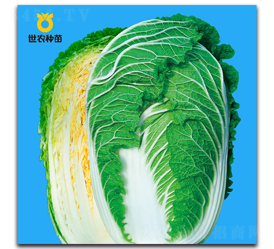 �n��-�ײ˷N��-���r(n��ng)�N��