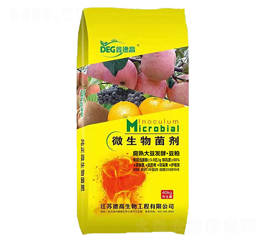 ����󶹰l(f��)�͡�����-�ε¸�-�¸�����