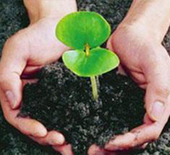 �Ϲ��ЙC(j��)��-�ɺ�