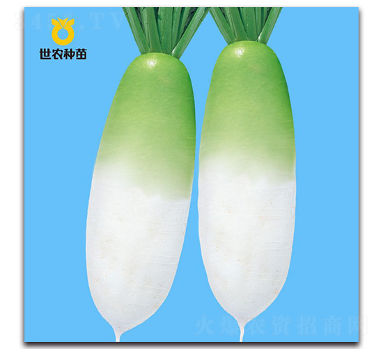 Ӣ�|-�}���N��-���r(n��ng)�N��