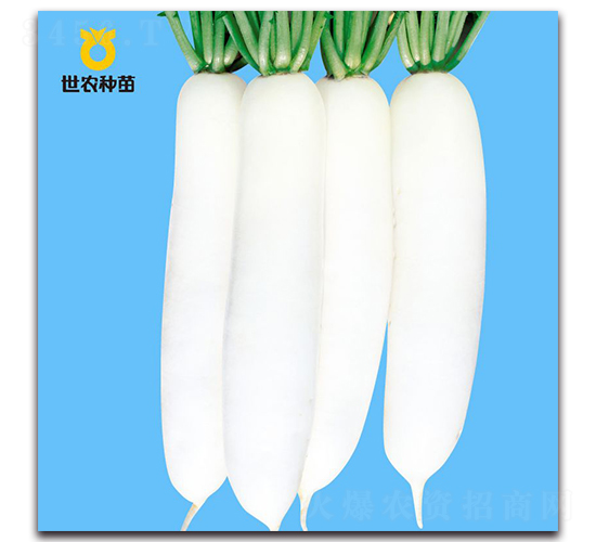 ������-�}���N��-���r(n��ng)�N��