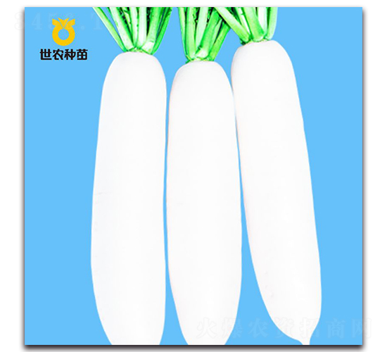 ��ɽ��ѩ-�}���N��-���r(n��ng)�N��