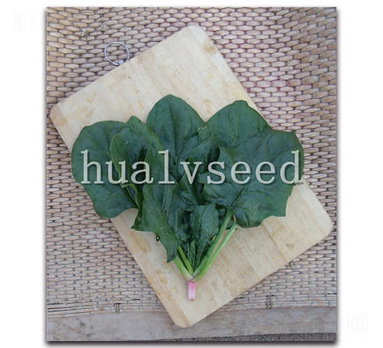 ��(qi��ng)�S����-���˷N��-�A�G