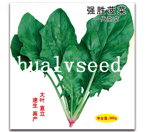 ��(qi��ng)�ٲ���-���˷N��-�A�G