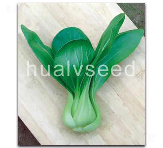 ����С���-��˷N��-�A�G