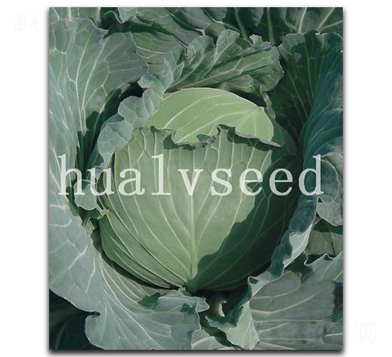 ��Խ���{(l��n)-���{(l��n)�N��-�A�G