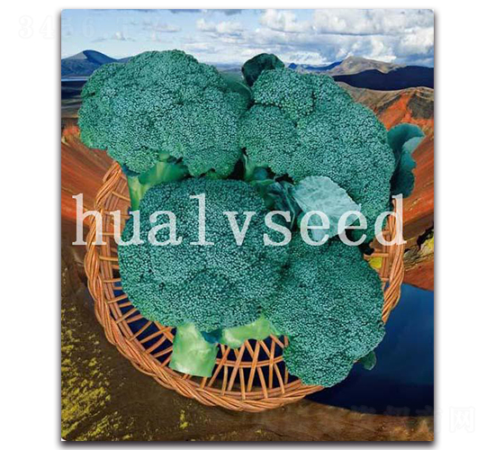 ��ɽ-���m���N��-�A�G