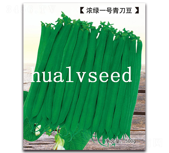 ��Gһ̖�൶��-�൶���N��-�A�G