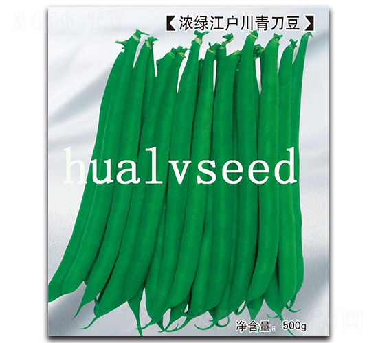 ��G�������൶��-�൶���N��-�A�G