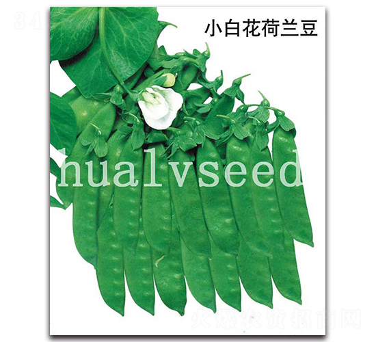 С�׻����m��-���m���N��-�A�G