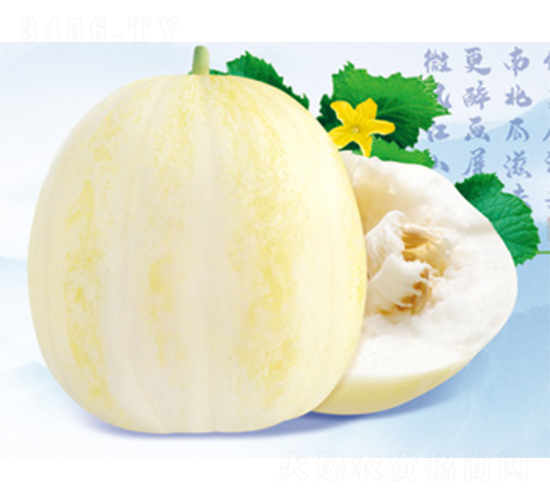 �������-��ϷN��-����N�I(y��)