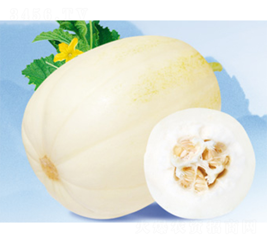 ����sҫ-��ϷN��-����N�I(y��)