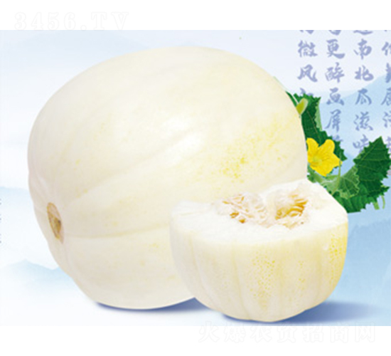 ��������-��ϷN��-����N�I(y��)