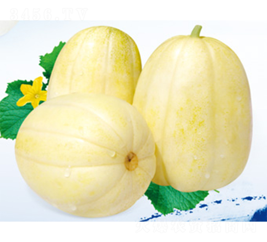 ������Ʒ-��ϷN��-����N�I(y��)