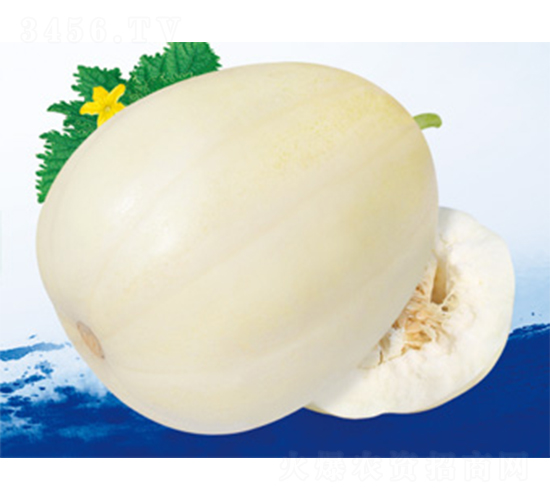 ������ؔ(c��i)��-��ϷN��-����N�I(y��)