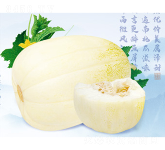 ����-��ϷN��-����N�I(y��)