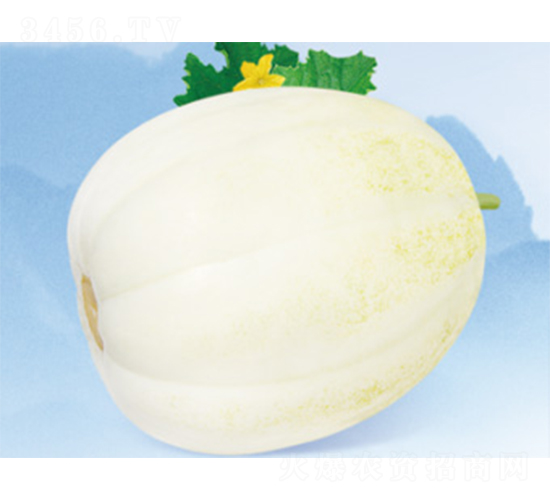 ��һ����-��ϷN��-����N�I(y��)