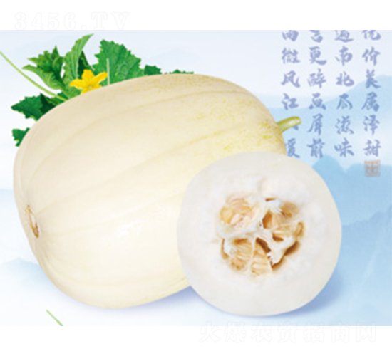 ���F�R-��ϷN��-����N�I(y��)