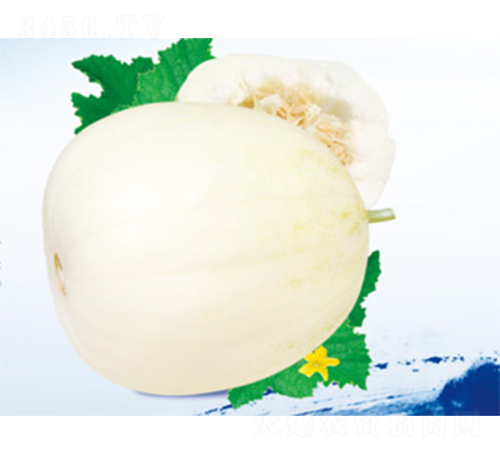 �������u-��ϷN��-����N�I(y��)