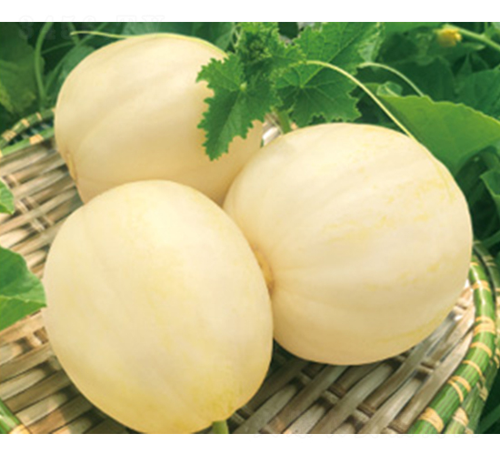 ����17-��ϷN��-����N�I(y��)