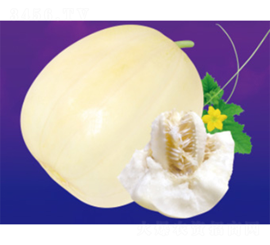 ����һ-��ϷN��-����N�I(y��)