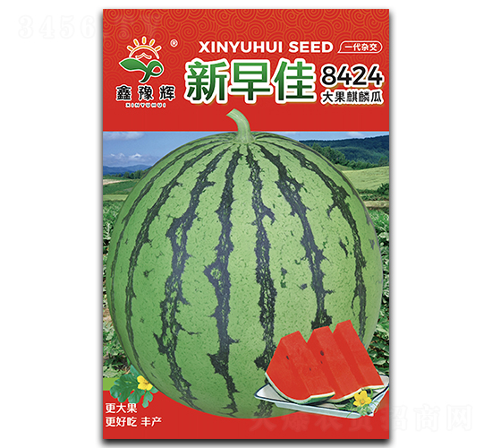 �����-���ϷN��-ԥ�x�N�I(y��)