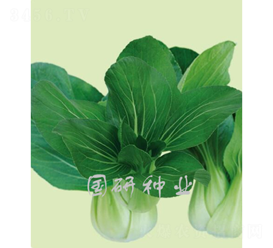 �����๣��-�Ͳ˷N��-���зN�I(y��)