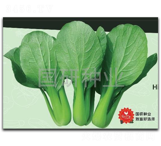 �;G302-�Ͳ˷N��-��(gu��)�зN�I(y��)