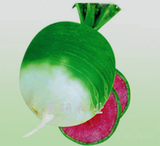 �����M�üt-�}���N��-��(gu��)�зN�I(y��)