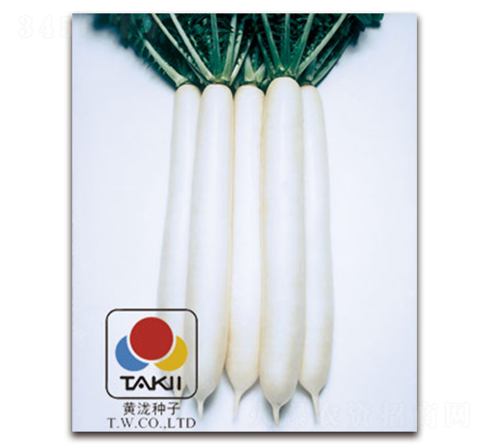 �׌�܊-�}���N��-�S�{�N��