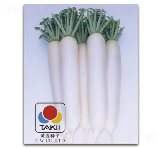 ��ѩ����-�}���N��-�S�{�N��