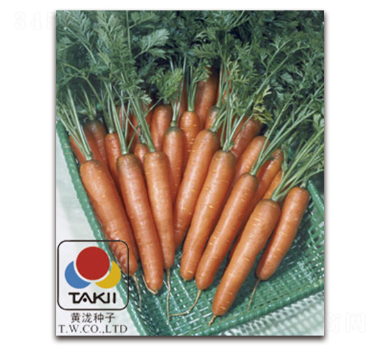 ��������-���}���N��-�S�{�N��