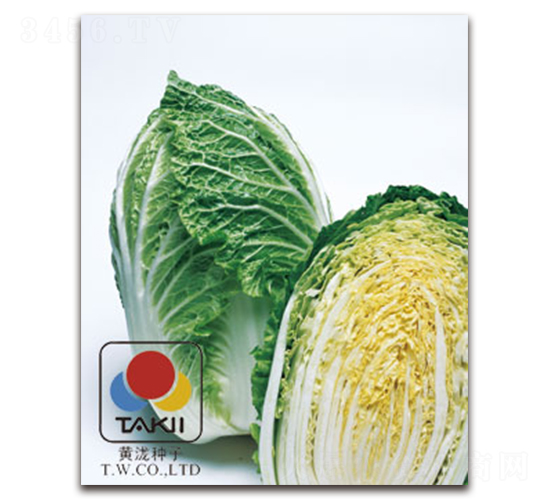 ꖴ�����-�ײ˷N��-�S�{�N��