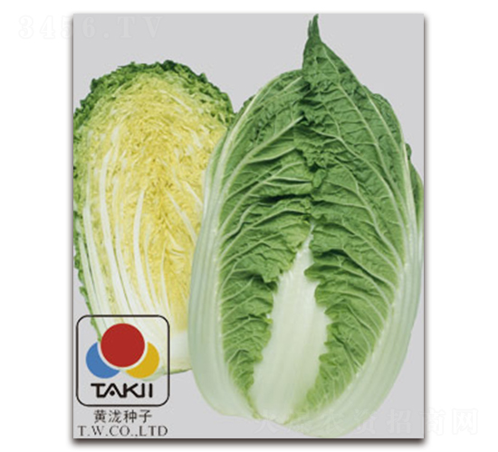 TI-12N-�ײ˷N��-�S�{�N��