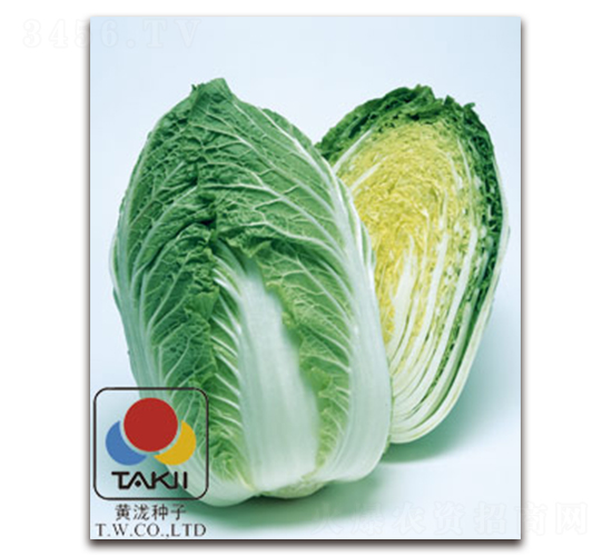 TI-07M-�ײ˷N��-�S�{�N��